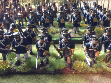 Landwehr With Muskets at tra