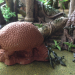 Glyptodon