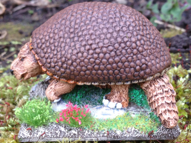 The finished Glyptodon!