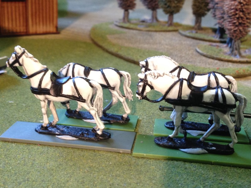 Horses for Napoleons Coach