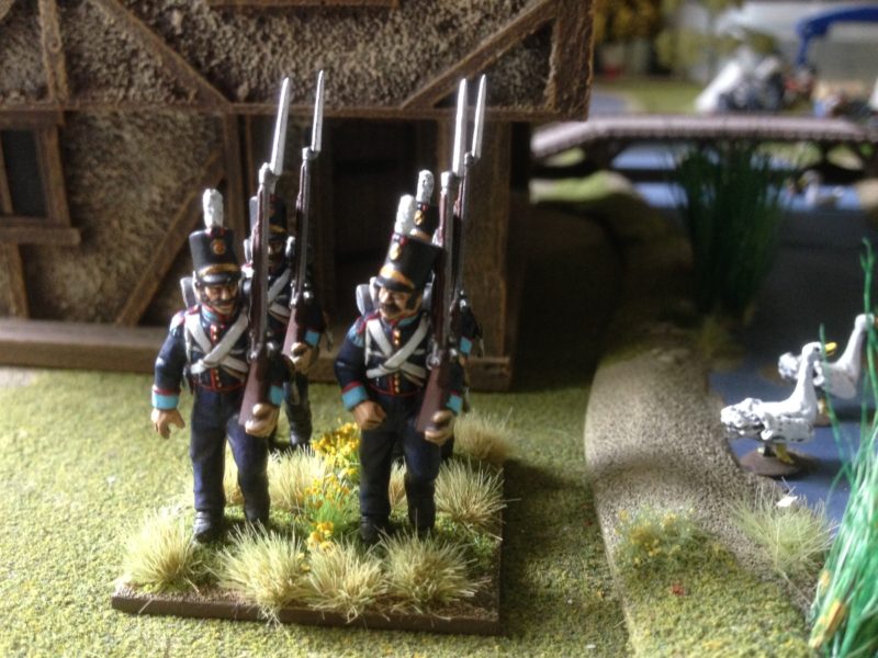 Portuguese Grenadiers