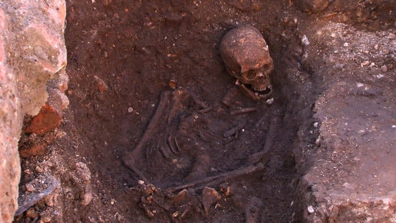 Richard III Skeleton , as it was discovered.