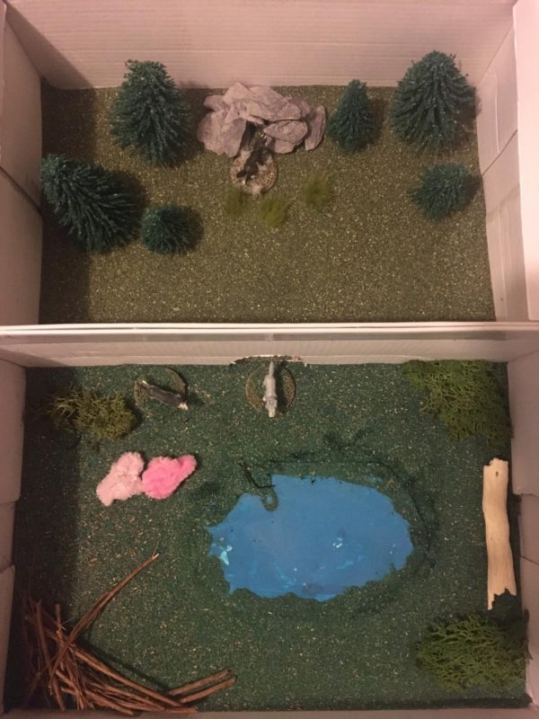 The completed wolf enclosure