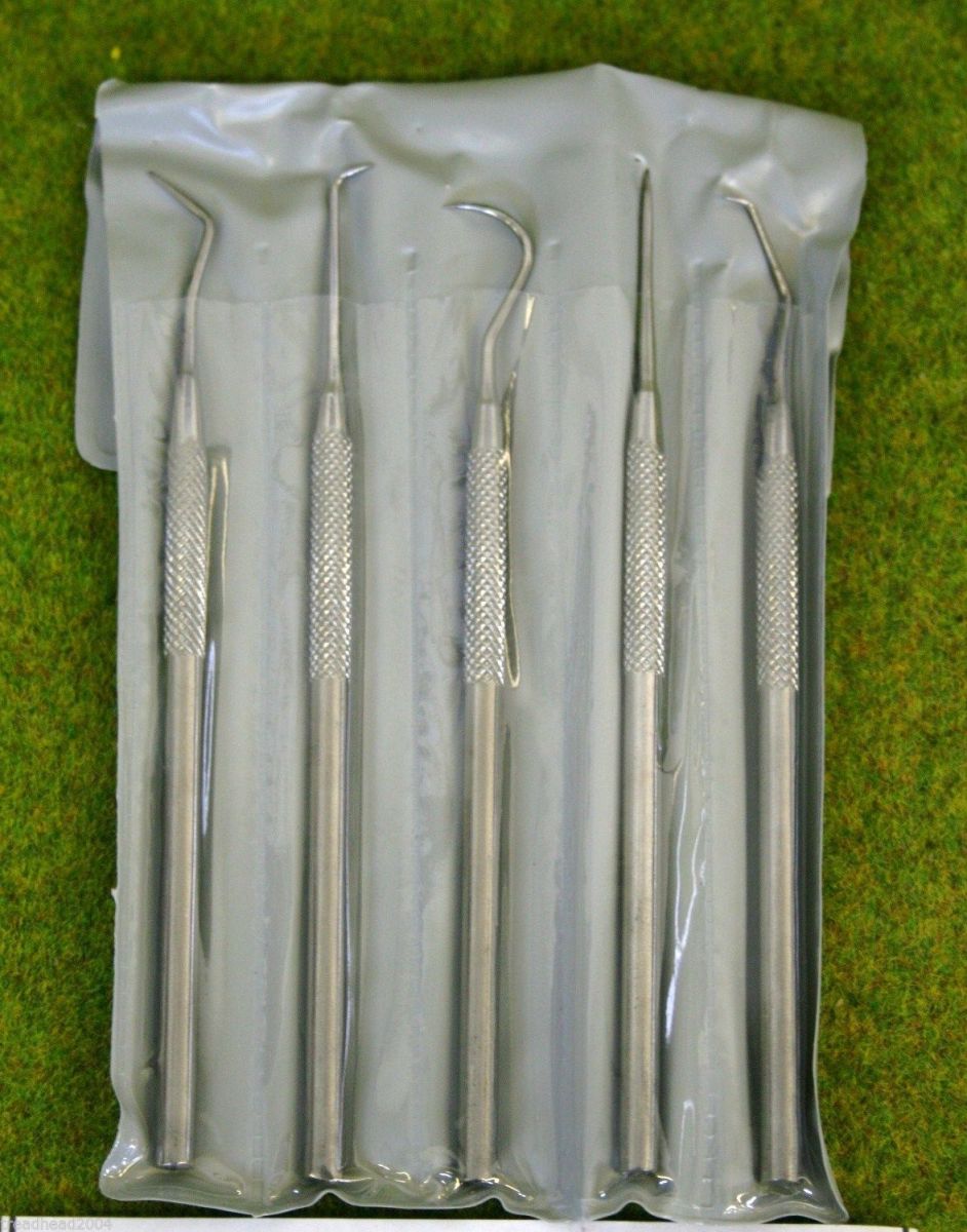 Expo Tools 5 PIECE STAINLESS STEEL HOOK/ PICK SET 70839 ARCANE